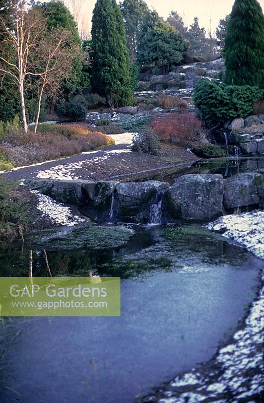 Pond waterfall beginning in the Rock Garden St Andrews Botanic Garden Scotland