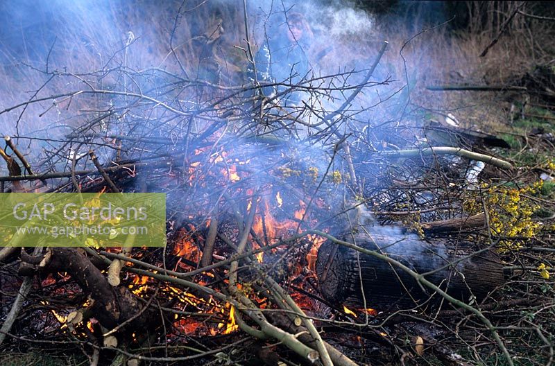 Burning cut branches and small trees on a bonfire