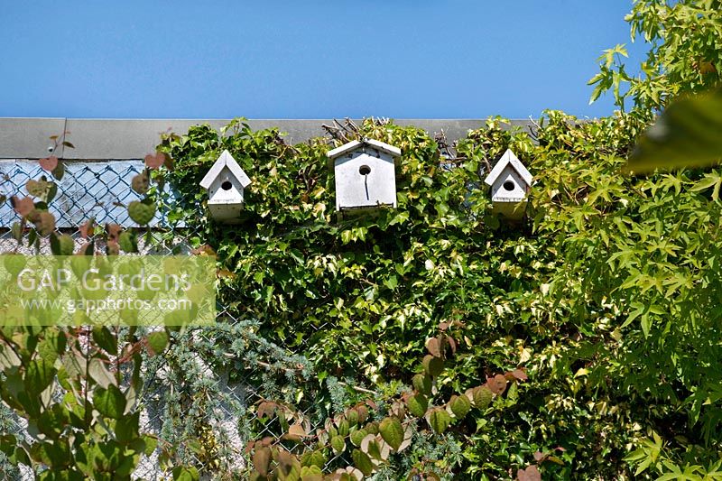 Bird houses on wall of a garage