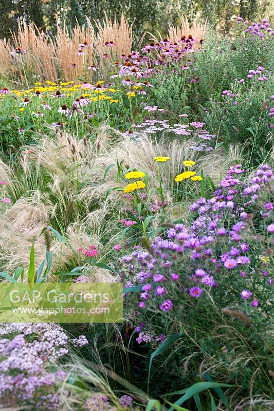 Garden border with late summer flowering perennial plants