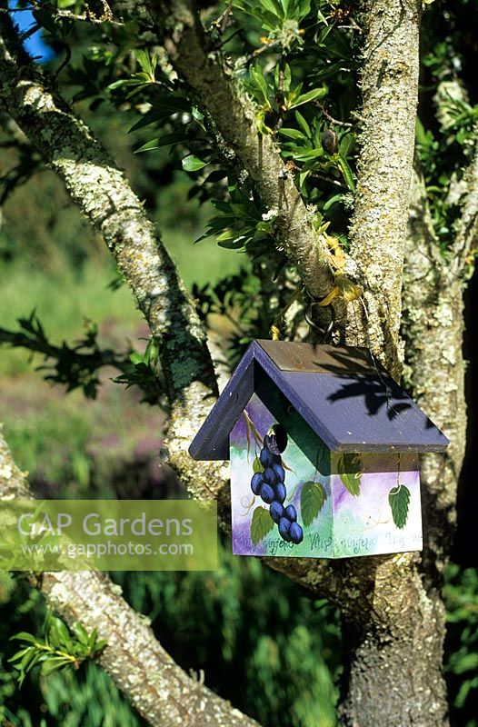Birdhouse decorated with paintings of grapes vines on vineyard estate Napa Valley California