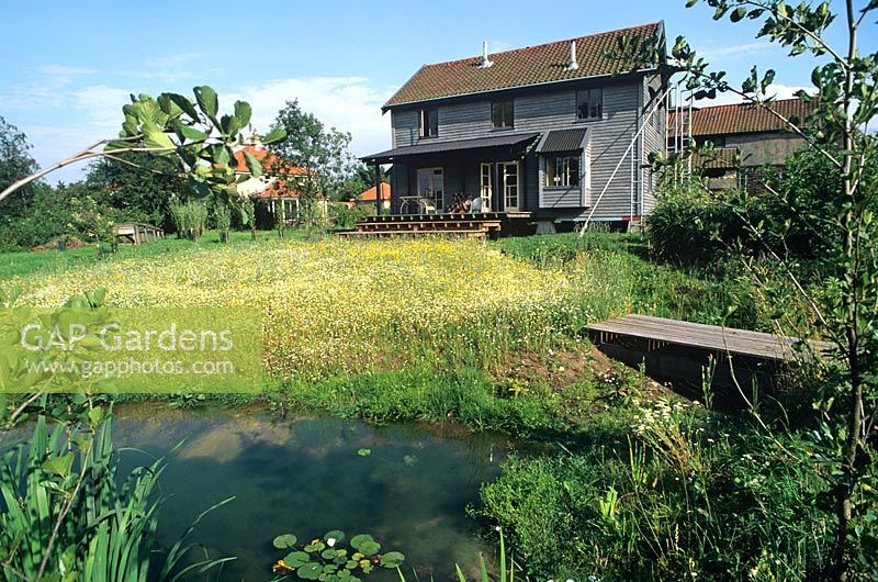 Eco friendly House with verandah Wild flower meadow garden with pond Norfolk