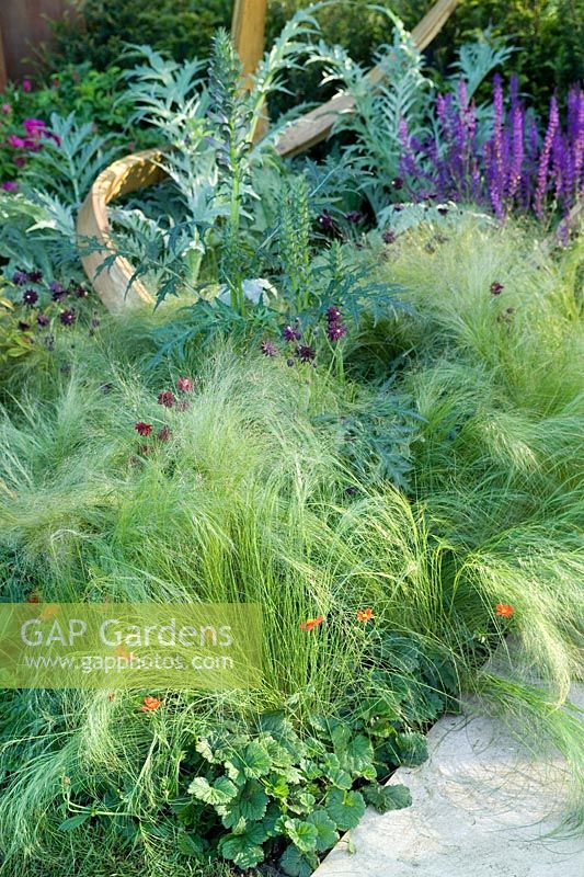 Perennial grass & flowers in the Cancer Research UK Garden Design by Andy Sturgeon RHS Chelsea 2007 Gold Medal