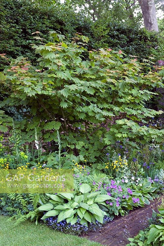 The Chris Beardshaw Garden Design by Chris Beardshaw RHS Chelsea 2007 Silver Gilt Based on Hidcote