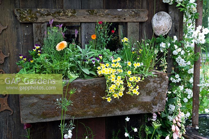 Wooden window box with mixed perennial flowers RHS Chelsea 2007