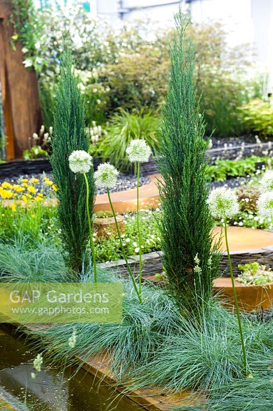 Contemporary garden Hosta Vista by Binny Plants Landmarkers & Andrea Geile Gold Medal Gardening Scotland 2007