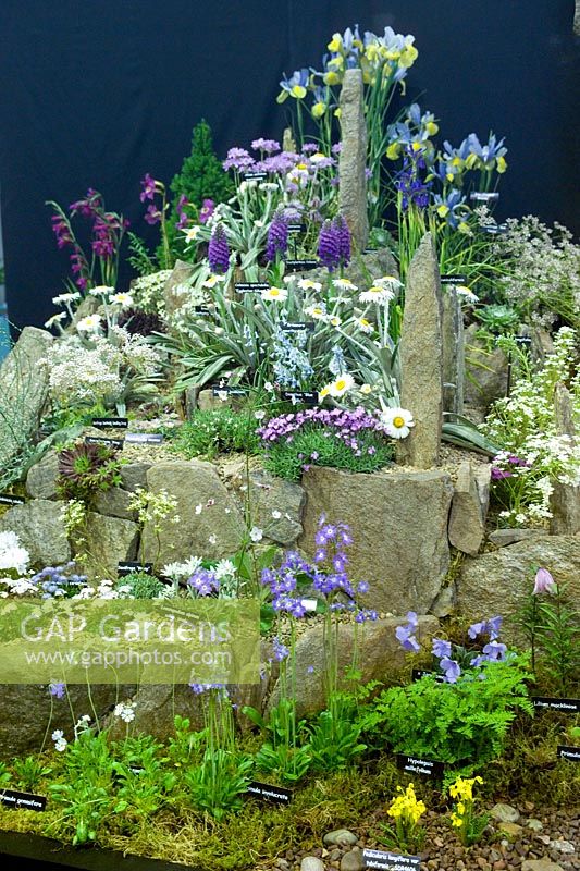 Kevock Garden Plants stand Gardening Scotland 2007 Best Floral Exhibit Gold Medal Alpine plants