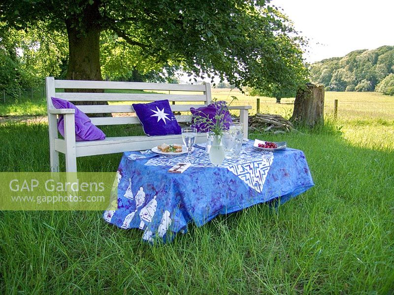 Table bench seat set for lunch on the western meadow