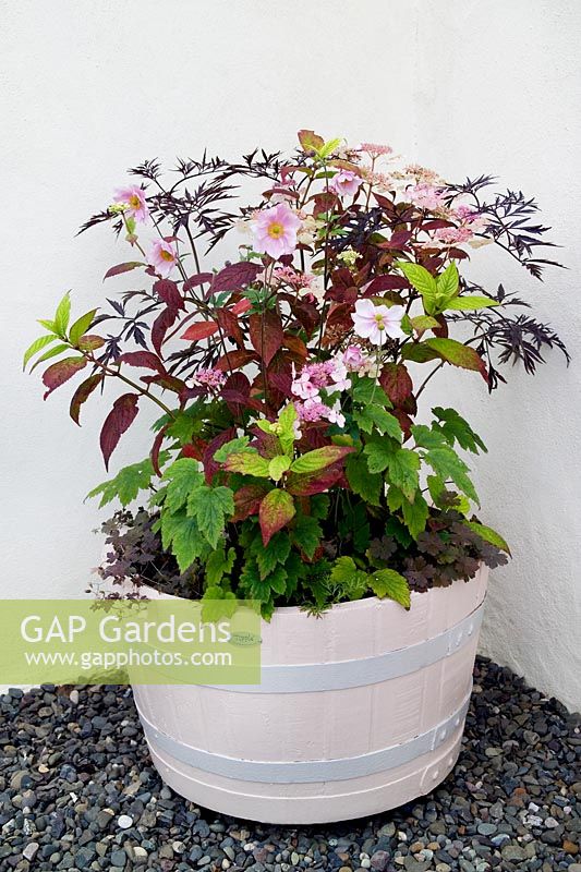 Oak barrel container by © Tipple Containers planted with Japanese anemones, purple elder and Geraniums