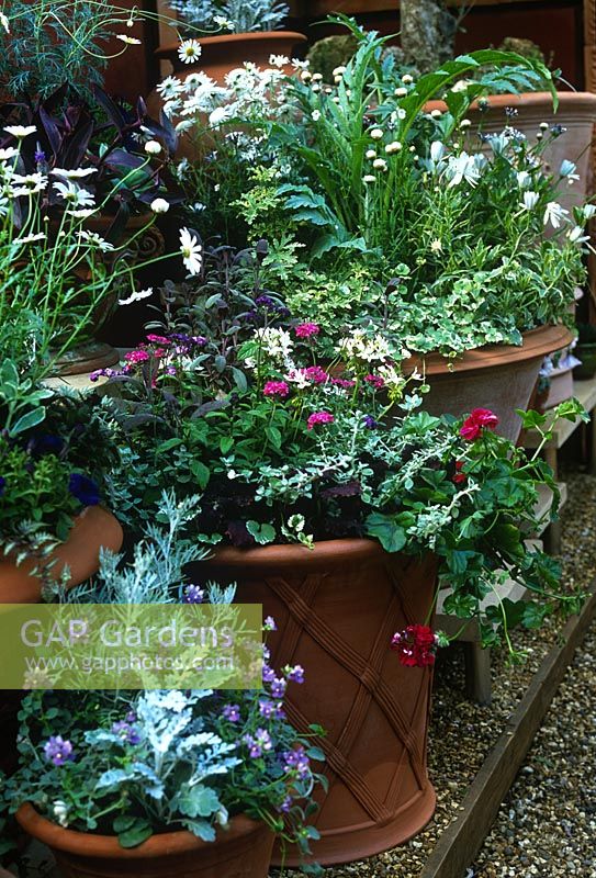 Stand with terracotta planters full of summer flower herbs annuals perennials