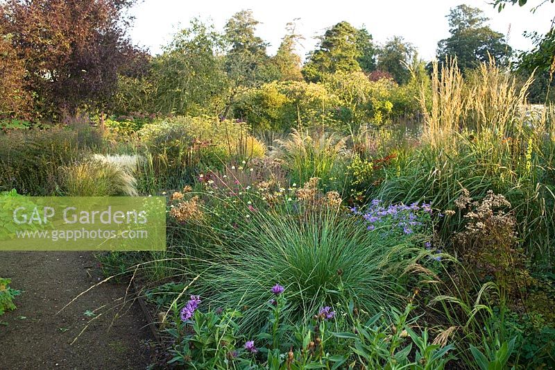 Cambo Walled Garden, Fife, Scotland, UK ornamental potager garden, drift planting, orchard, autumn