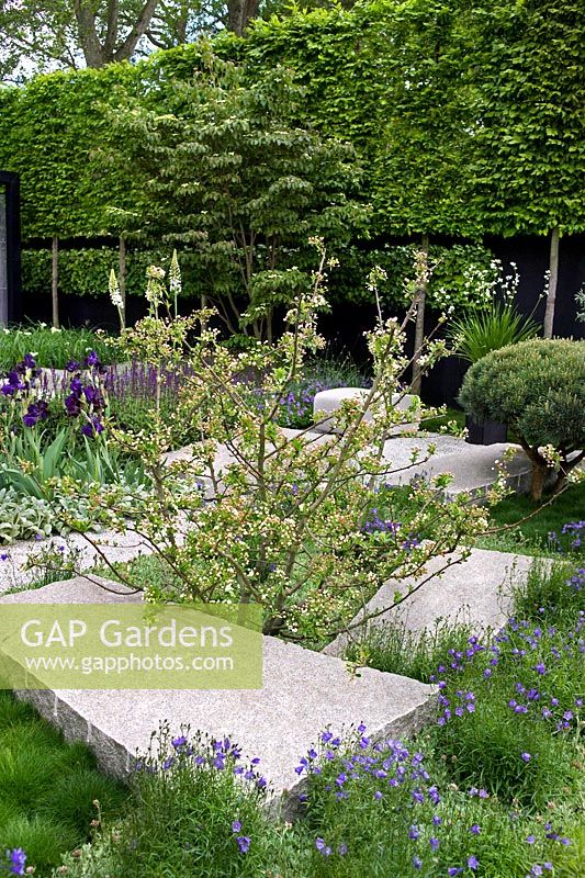 The Daily Telegraph Garden. Gold Medal & Best in Show, RHS Chelsea Flower Show 2009.
