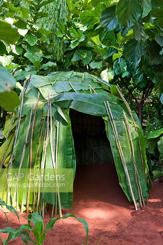 Green & Black’s Rainforest Garden designed by Jane Owen with Ann-Marie Powell