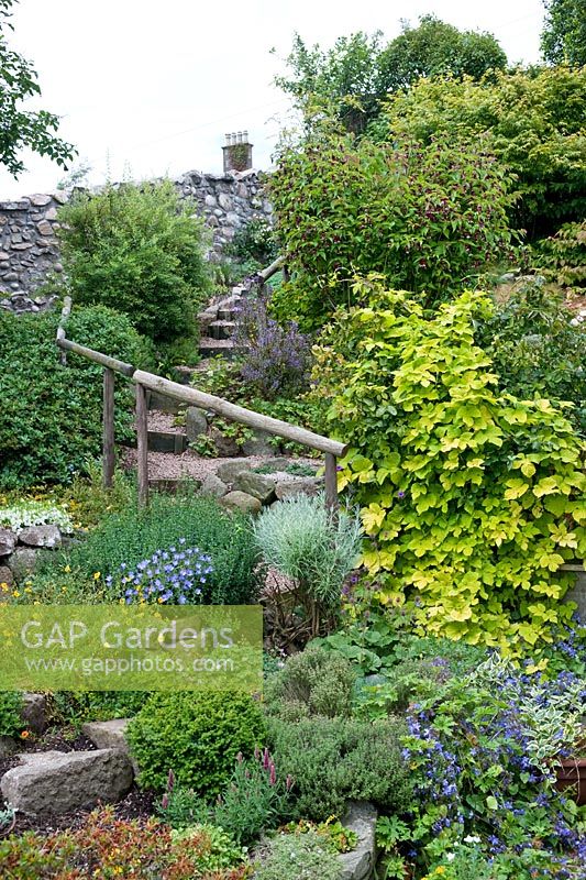 Sloping garden with rockery, steps and hand rail