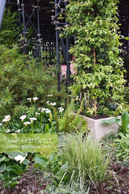 The Westland Magical Garden by Diarmuid Gavin RHS Chelsea Flower Show 2012