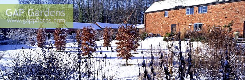 Blackpitts Farm garden in winter designed by James Alexander Sinclair
