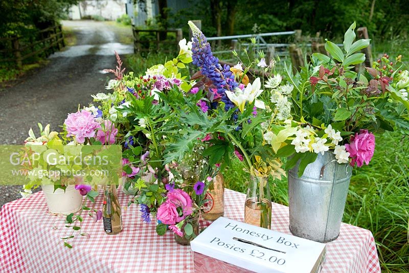 Posies of cut flowers for sale on a roadside stand