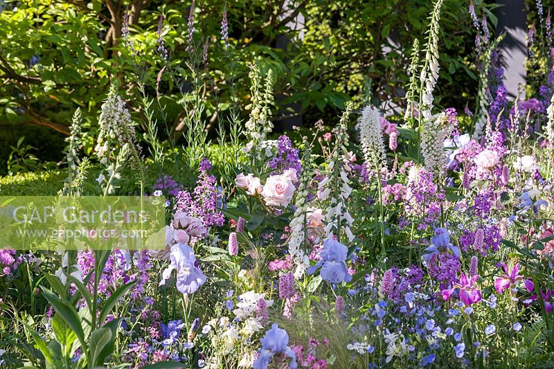Perennial garden in pink/white/blue color tones