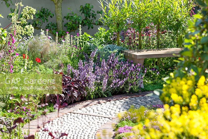 Perennial garden with medicinal plants