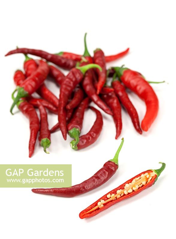 Capsicum Long Red Narrow Cayenne
