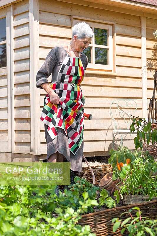 Lady is watering the vegetable garden