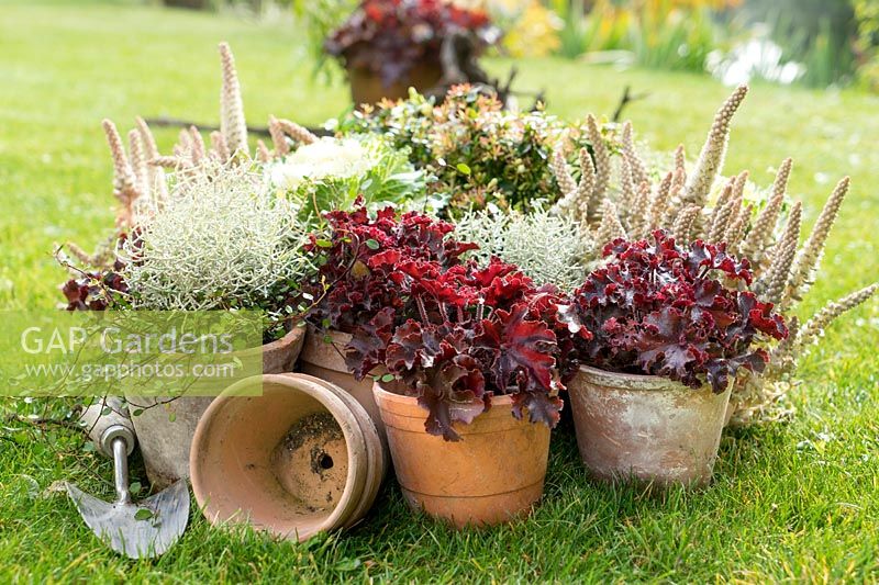 Fall plants for plant container