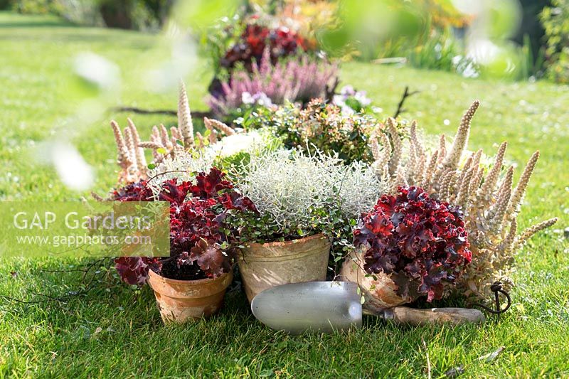 Fall plants for plant container