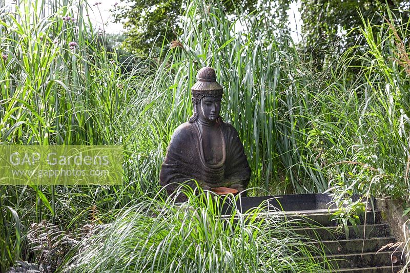 Garden design with ornamental grasses and Buddha statue