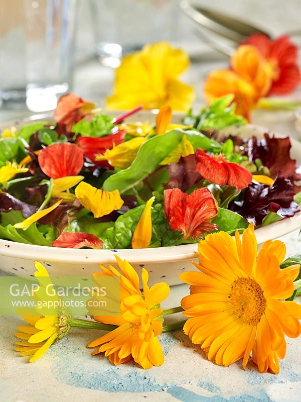 Salad mix with edible flowers