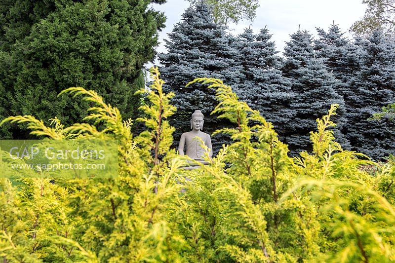 Garden with Buddha statue