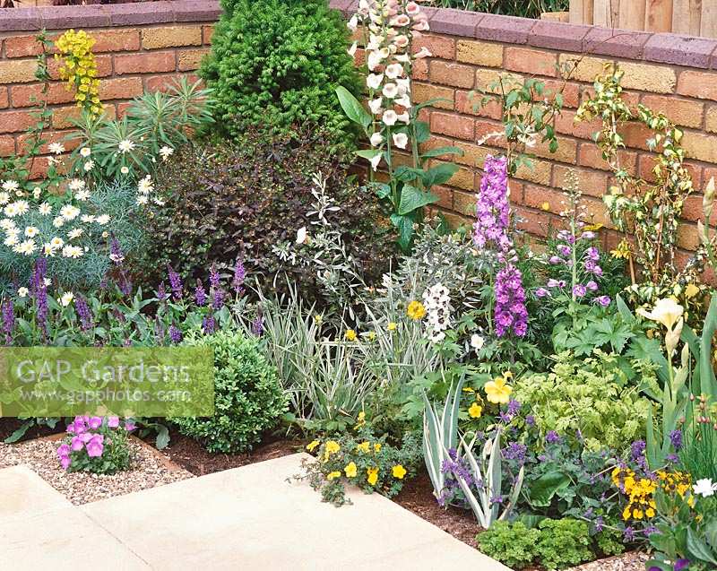 Terrace planting with perennials