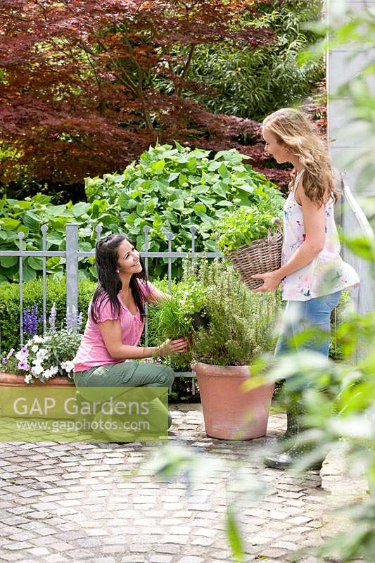 Young women in the garden with mixed herbs