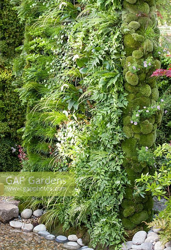Living wall with grasses and fern plants