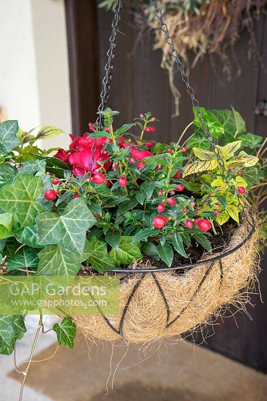 Planted hanging basket with annuals