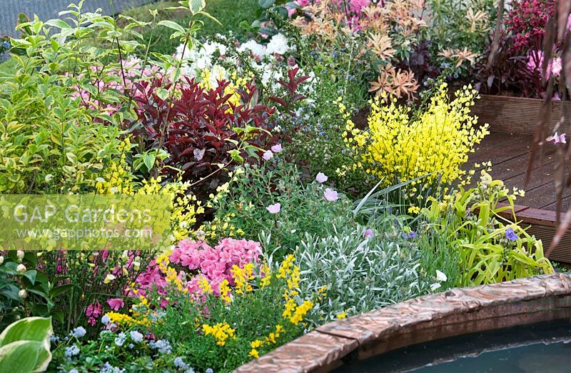 Plant border with shrubs and perennials