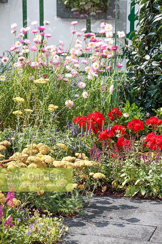 Colorful flower bed with perennials and annuals