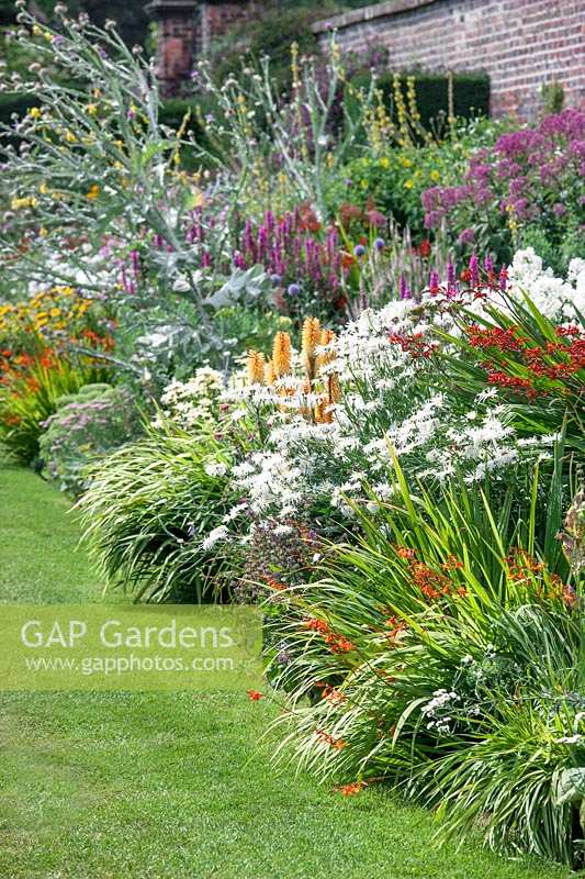 Colorful perennial planting in the summer