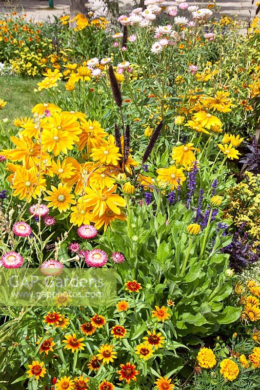 Flower border with annuals