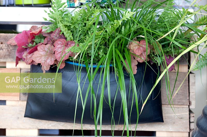 Plant bag with perennials and ornamental grasses