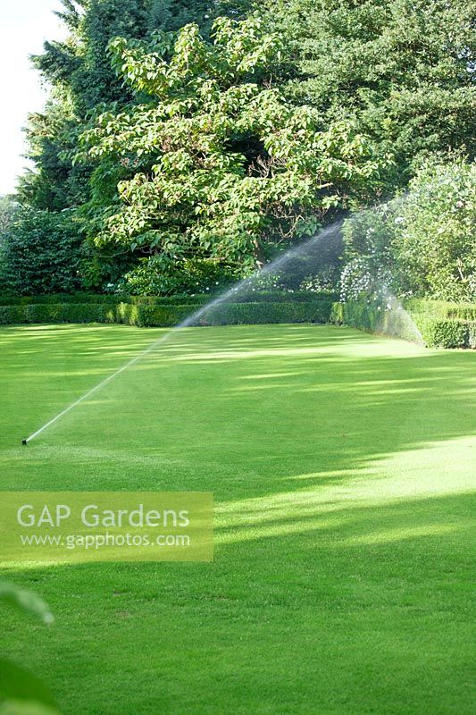 Lawn with watering system