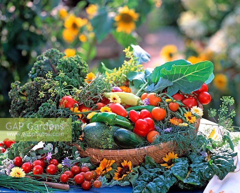 Basket of harvested vegetables