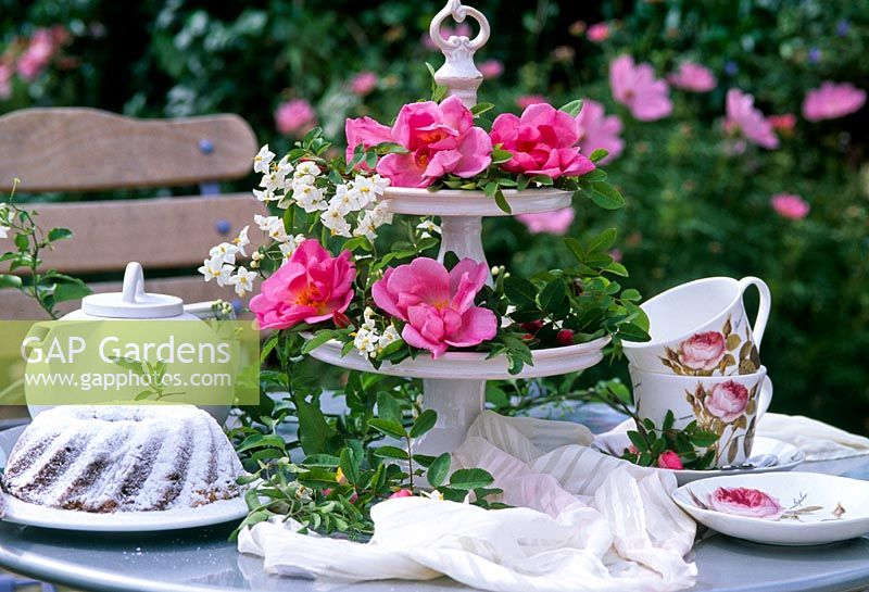 Coffee table: etagere with Wild Rose 'Park Wilhelmshöhe'