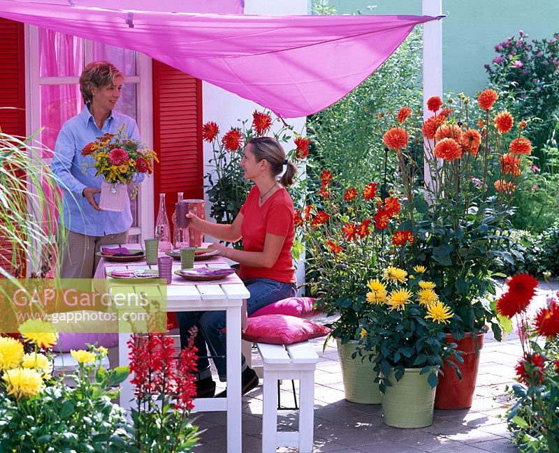 Dahlias terrace with awning