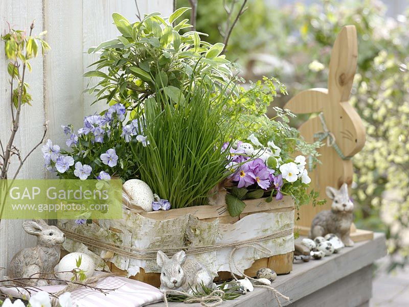 Herbs and edible flowers in a basket