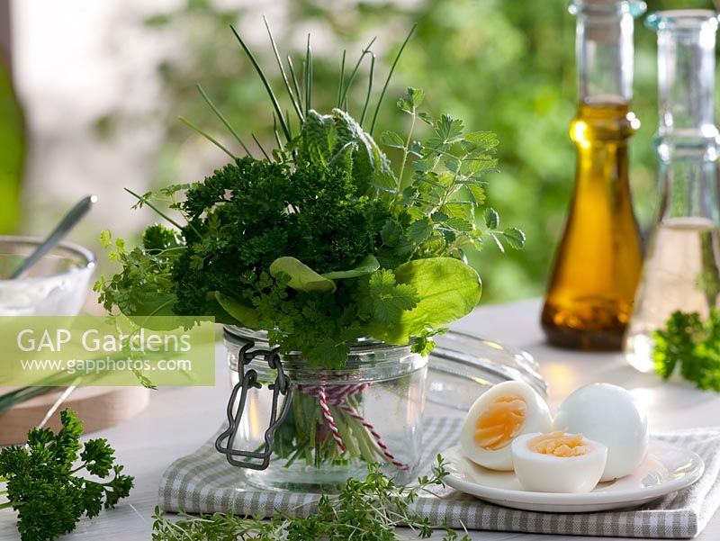 Herbs for Frankfurt green sauce