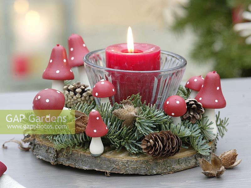 Wind light with red candle on tree base, decorated with Abies nobilis