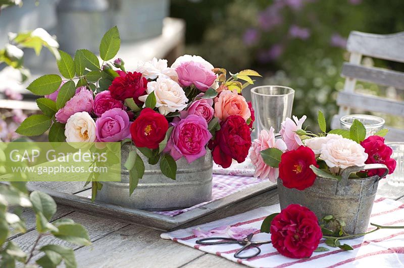 Mixed pink ( roses ) in zinc vessels