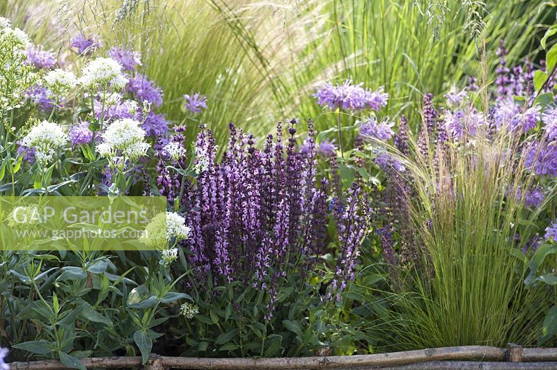 Perennials and grasses in flower bed edging made of hazel rods - wattle