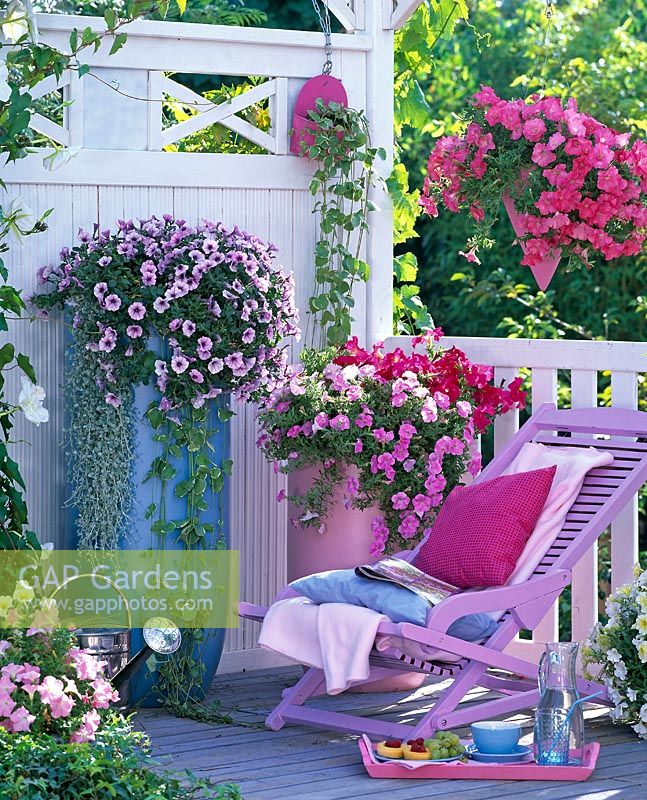 Petunias balcony with pink wooden deck