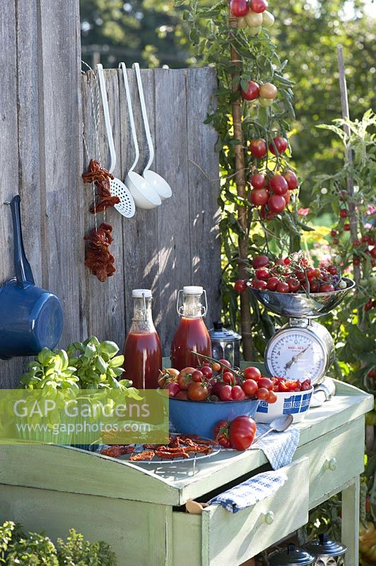 processed food - tomatoes in the outdoor